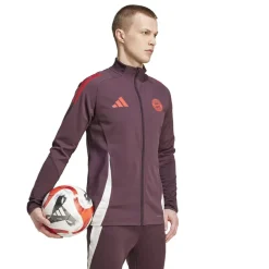 adidas Bayern Munich Training Jacket 2024 2025 Adults in Purple