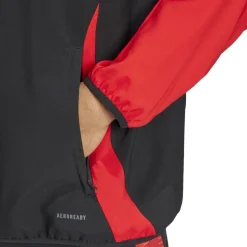 adidas Belgium Pre Match Jacket 2024 Adults in Black