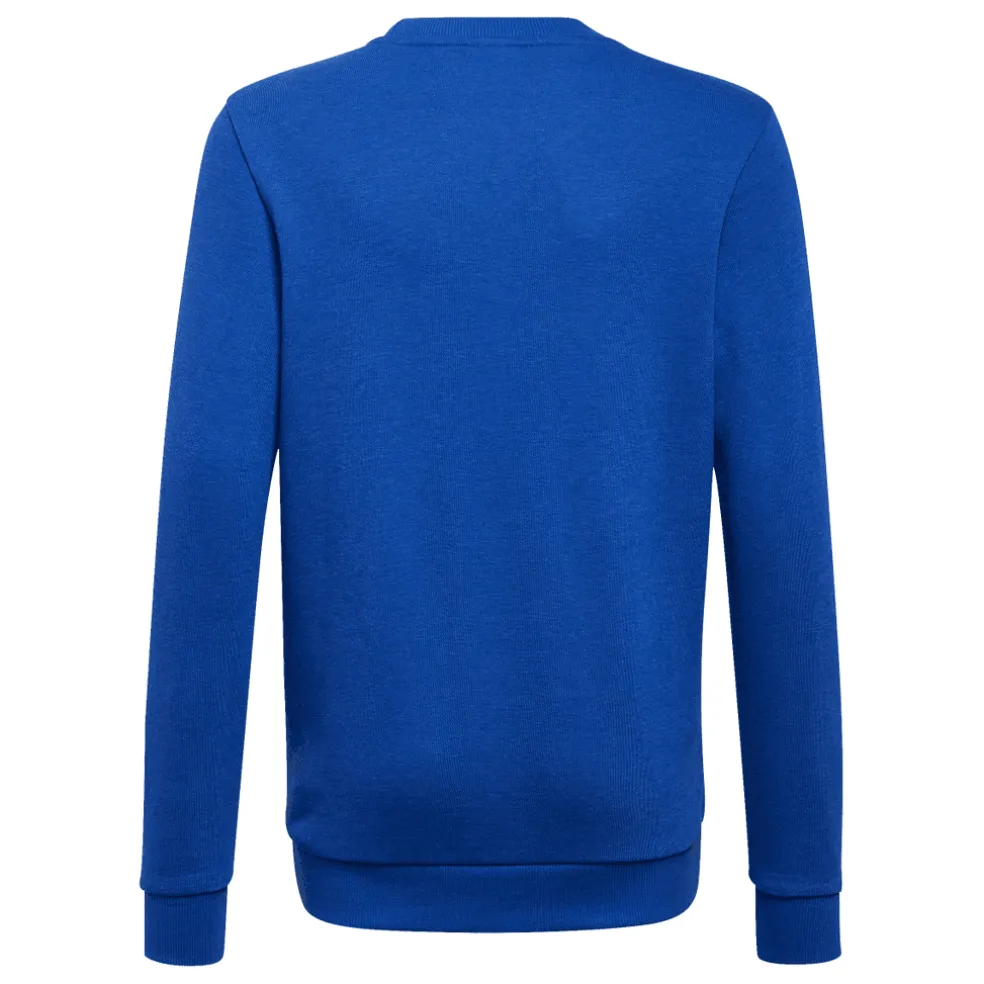 adidas Boys Essentials Sweatshirt in Blue