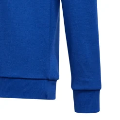 adidas Boys Essentials Sweatshirt in Blue