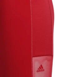 adidas Ivp Mesh Pocket Athletic Pants in Red