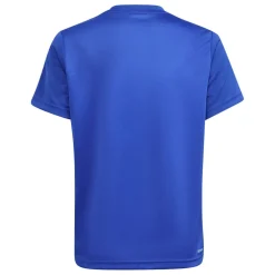 adidas Juniors Designed To Move T-Shirt & Shorts Set in Blue