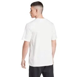 adidas Originals Trefoil Graphic T-Shirt in White