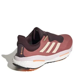 adidas Solar Glide Gtx Ladies Running Shoes in Pink