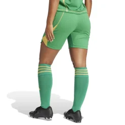 adidas Womens Tiro 24 Pro Goalkeeper Shorts in Green