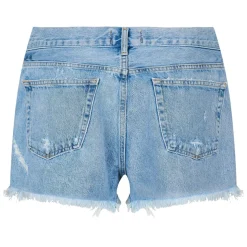Agolde Parker Shorts in Blue