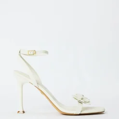 Aldo Daisylily in White