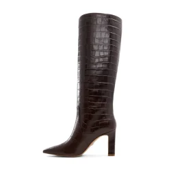Aldo Knee High Block Heel Boots in Brown
