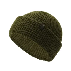 AllSaints Merino Beanie in Green