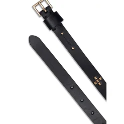 AllSaints 18mm Pyr Std Blt in Black