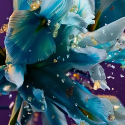 Bulgari Allegra Spettacolore Eau De Parfum in Clear