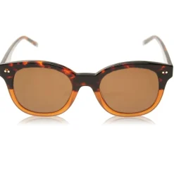 Calvin Klein Ck4354 Sunglasses in Brown