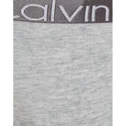 Calvin Klein Pack Junior Bikini Briefs in Grey