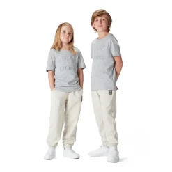 Canterbury British And Irish Lions Momentum T-Shirt 2025 Juniors in Grey