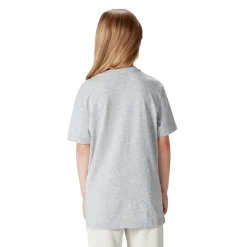 Canterbury British And Irish Lions Momentum T-Shirt 2025 Juniors in Grey