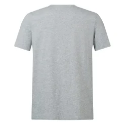 Canterbury British And Irish Lions Monument T-Shirt 2024 Adults in Grey