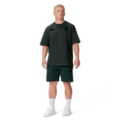 Canterbury Mens British And Irish Lions Stealth T-Shirt in Green