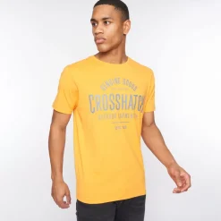 Crosshatch 5 Pack of Weymouth T-Shirts in Multi colour