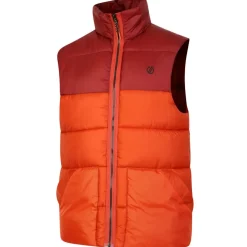 Dare 2b City Padded Insulated Gilet in Orange