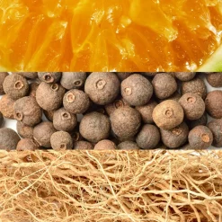 Davidoff Adv Edt vx in Multi