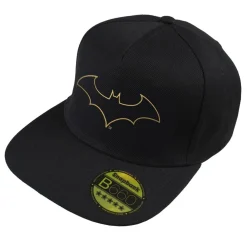 DC Comics Comics Snapback in Black