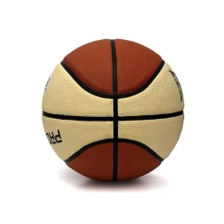 Everlast Pro Match Basketball in Multi