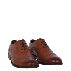 Firetrap Mens Spencer Shoes in Brown