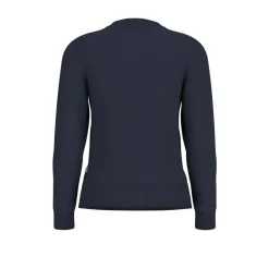 Guess Crew Neck Long Sleeve Sweater in Blue