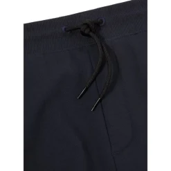 Hugo 212 Shorts in Blue