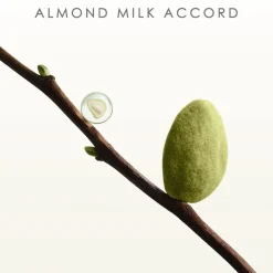 Issey Miyake Drop D’issey Eau De Parfum in Clear