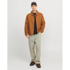 Jack and Jones Mens Ron Jeans in Blue