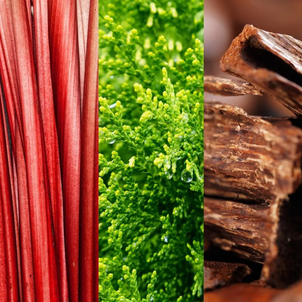 Joop Go Eau De Toilette For Men in Clear