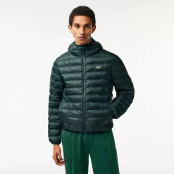 Lacoste Bh0539 Pffr in Green