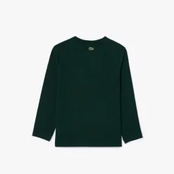 Lacoste Juniors Heavy Cotton Crocodile Graphic T-Shirt in Green