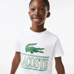 Lacoste Juniors Logo T-Shirt in White