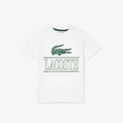 Lacoste Juniors Logo T-Shirt in White