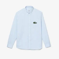 Lacoste Relaxed Fit Striped Shirt in Light Blue