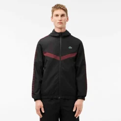 Lacoste Taped Tt in Black