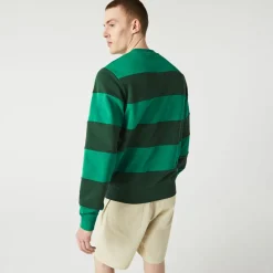 Lacoste Tennis Design Striped Crewneck Sweatshirt in Green