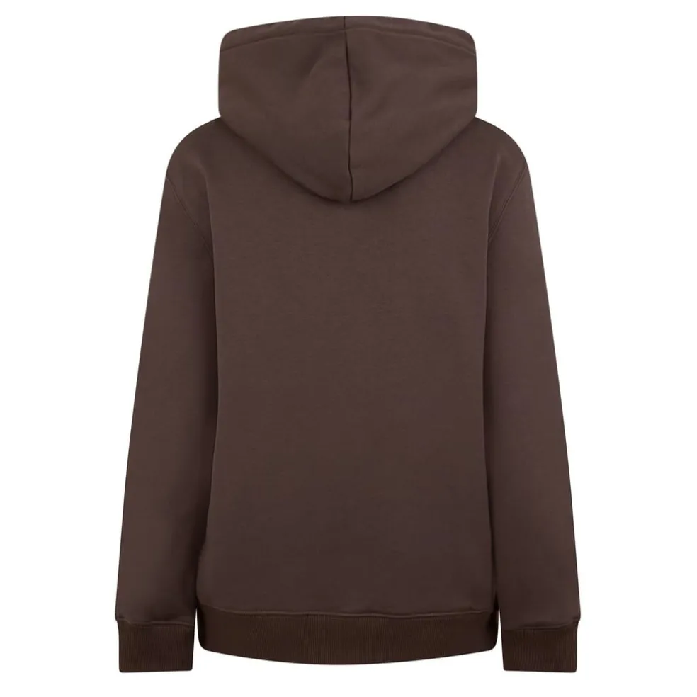 Lanvin Hooded Logo Sweatshirt in Brown