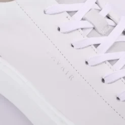 Lavair Luna Trainers in White