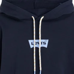 Levis Graphic Caravan Hoody in Navy
