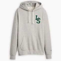 Levis Letterman Graphic Hoody in Grey