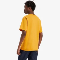 Levis Relaxed Fit Graphic T-Shirt in Orange