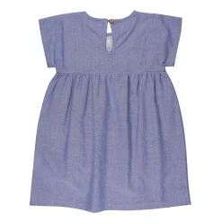Lilly and Sid Yoke Dress in Blue