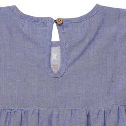 Lilly and Sid Yoke Dress in Blue