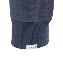 Linea Mens Jogger in Blue