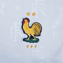 Nike France Academy Pro Away Pre Match Shirt 2024 Adults in Blue