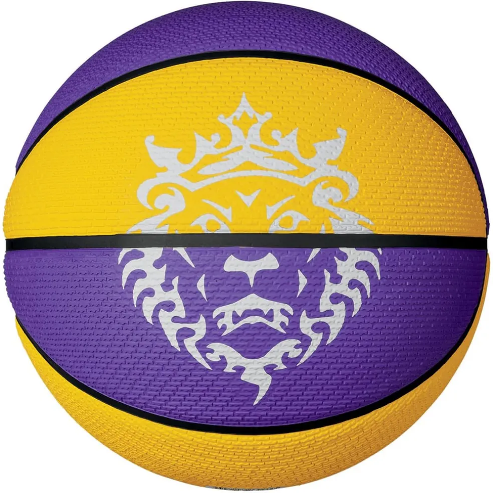 Nike Lebron Playground in Purple