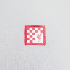 Nike Liverpool Premium T-Shirt in Grey